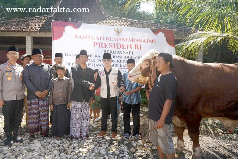 Bupati Trenggalek Serahkan Sapi Kurban Hampir 1,1 Ton Bantuan Presiden Prabowo